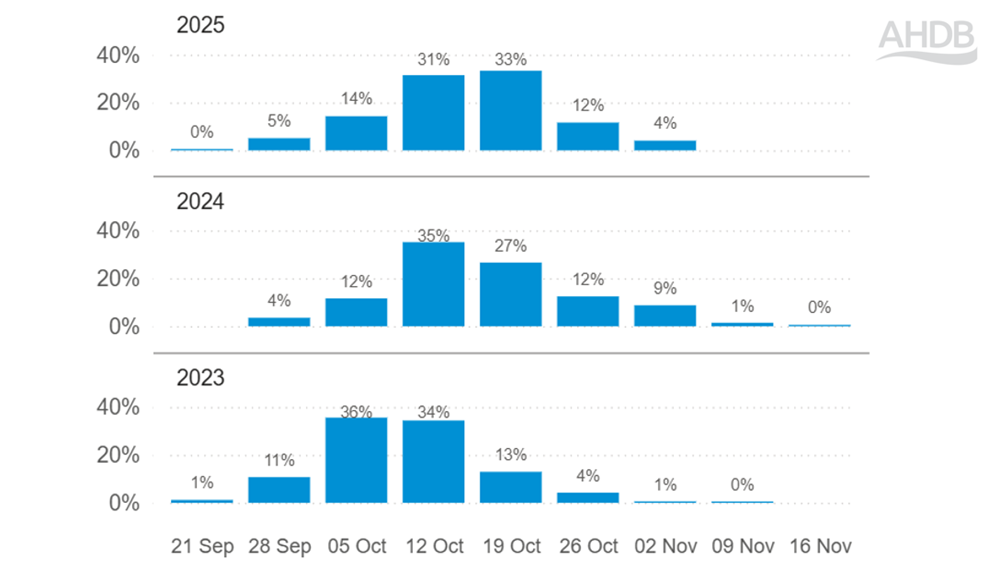 Phoma forecast chart that shows the distribution of dates for three years (2023-25).